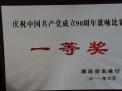 歌詠比賽一等獎(jiǎng)(2011)